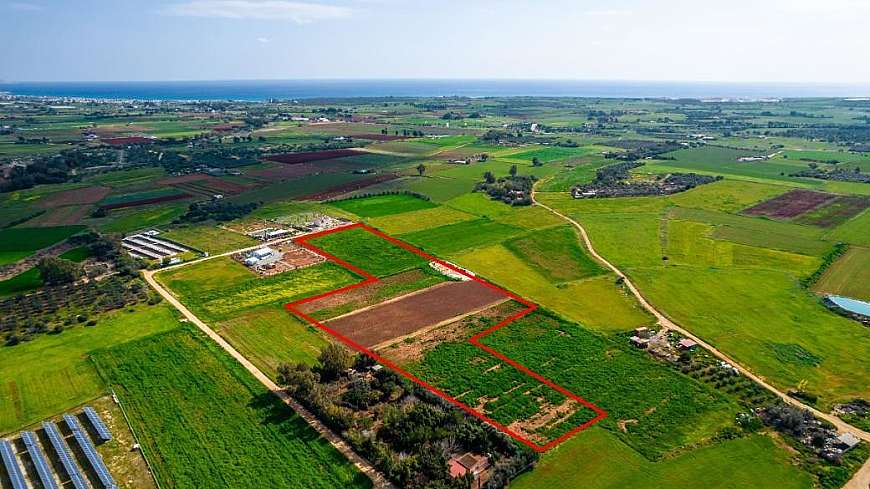 Field in Xylofagou, Larnaca