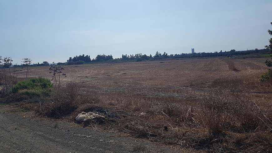 Share of Field in Zygi, Larnaka