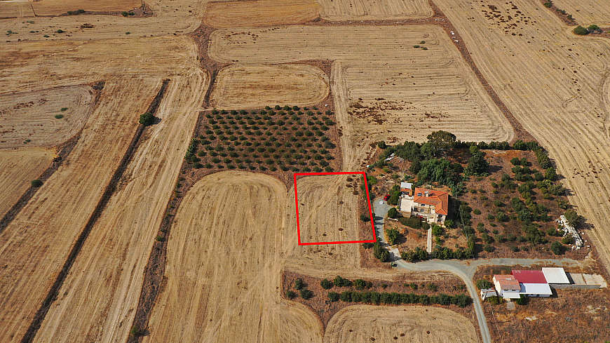 Shared fields in Geri, Nicosia