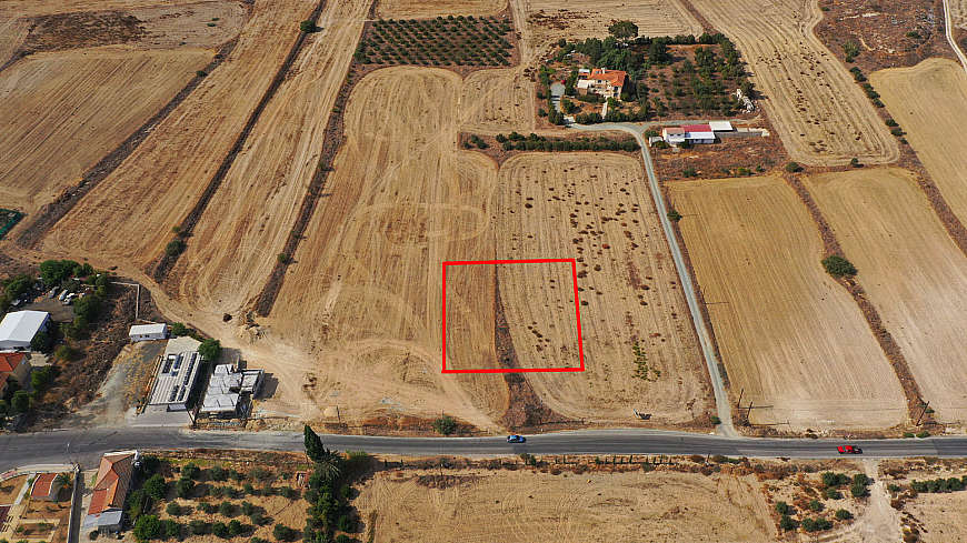 Shared fields in Geri, Nicosia