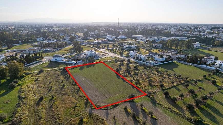 Shared field in Chryseleousa, Strovolos