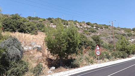 Field in Peristerona, Paphos 