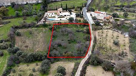 Shared fields in Agios Dimitrianos, Paphos