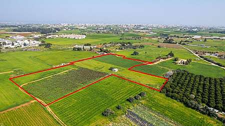 Shared field in Frenaros, Famagusta