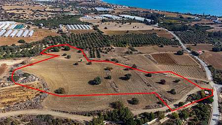 Field in Agios Theodoros, Larnaca