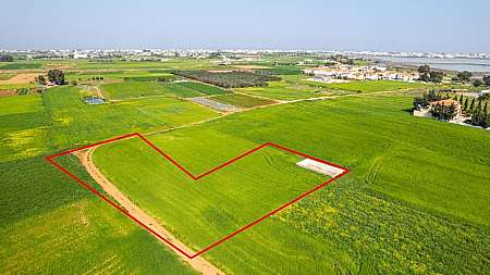 Field in Sotira, Famagusta