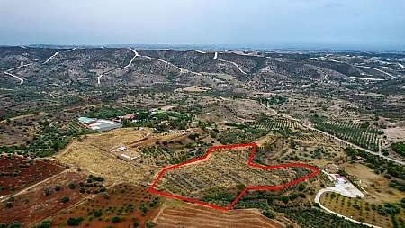 Field in Anglisides, Larnaca