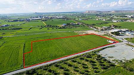 Shared agricultural field in Athienou, Larnaca