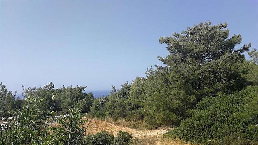 Shared field in Neo Chorio, Paphos