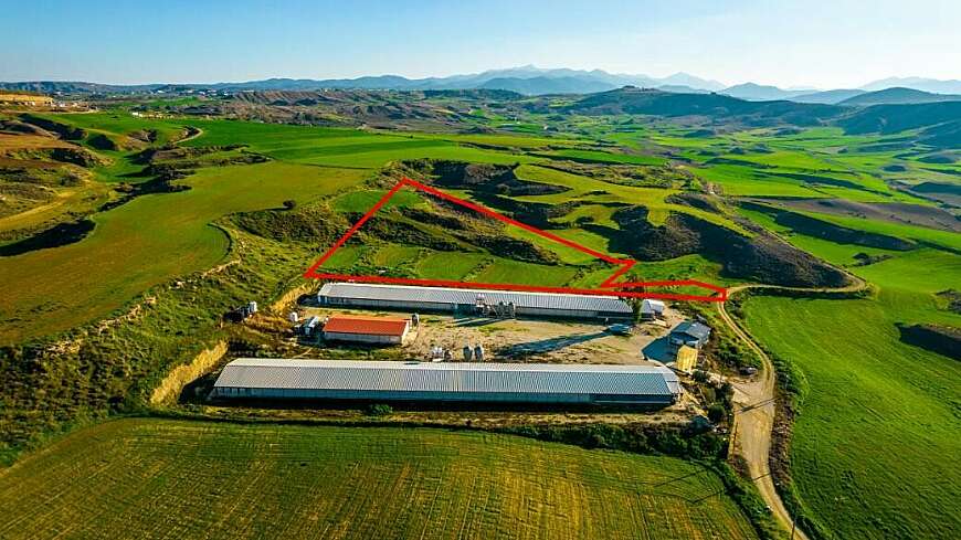 Agricultural field in Agios Ioannis, Nicosia