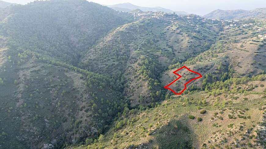 Shared agricultural field in Pigenia, Nicosia