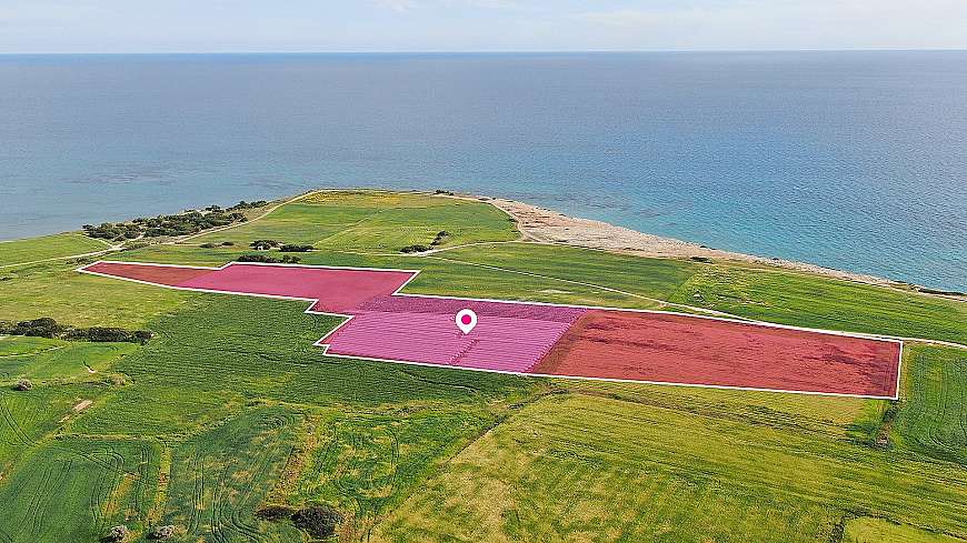 Seaview Field in Mazotos, Larnaca