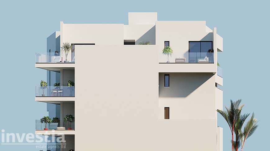 1 Bdrm apts/Dhekelia rd