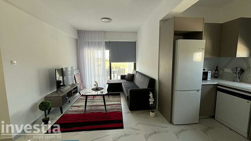 1 bdrm apt/Dhekelia rd