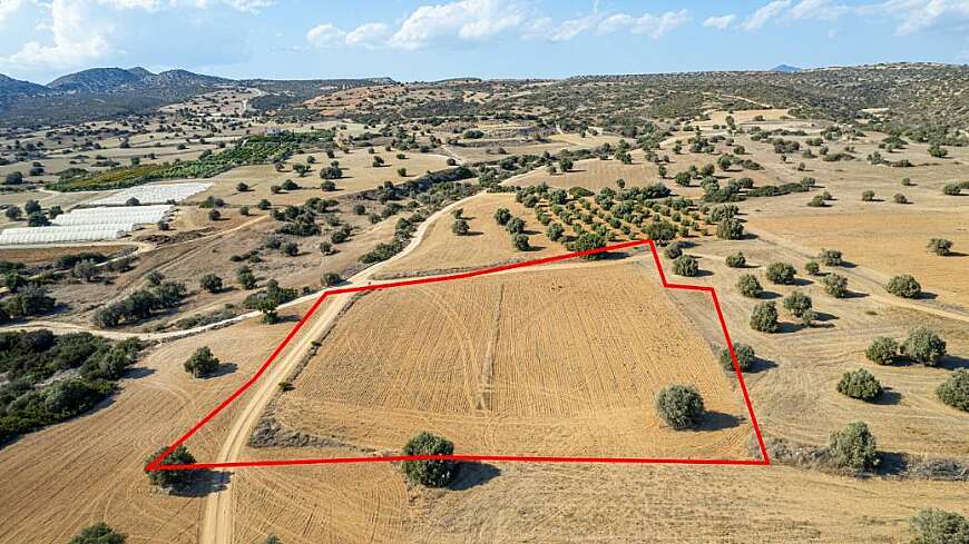 Tourist field in Agios Theodoros, Larnaca