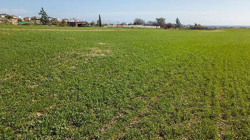 Field for sale/Tersefanou