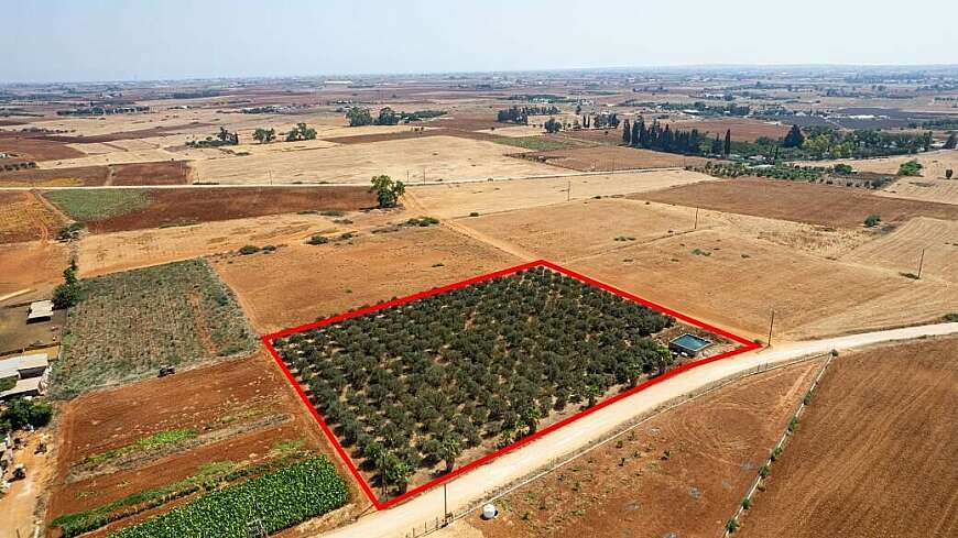 Agricultural field in Avgorou, Famagusta