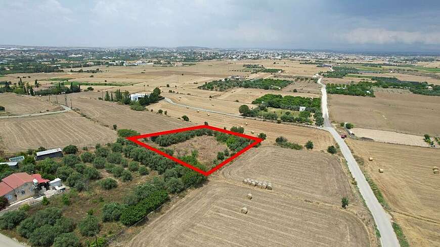 Residential field in Pera, Nicosia