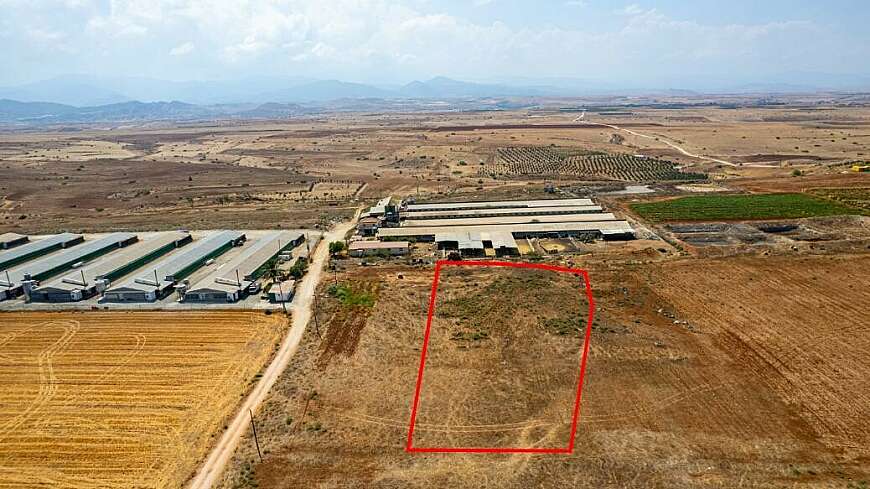 Agricultural field in Peristerona, Nicosia