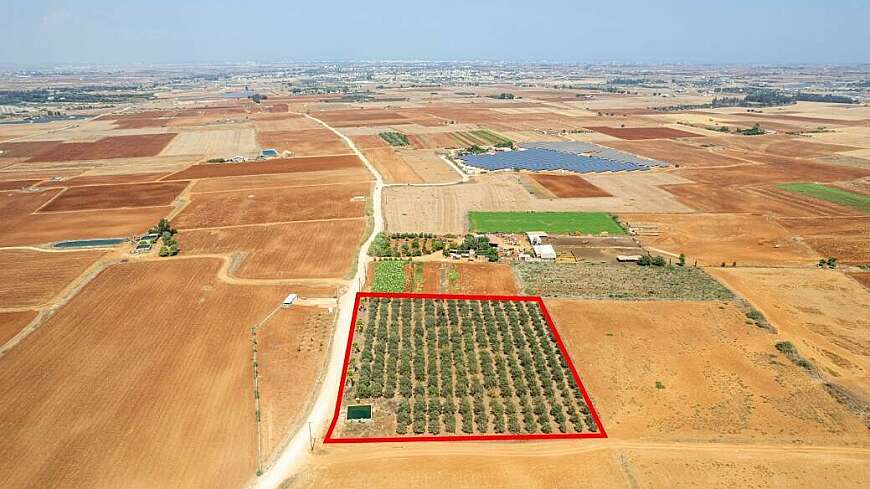 Agricultural field in Avgorou, Famagusta