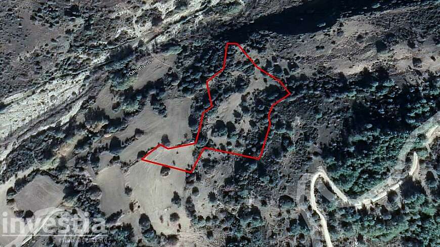 Field in Prastio, Paphos