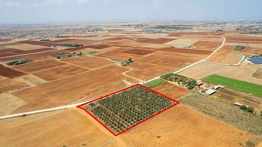 Agricultural field in Avgorou, Famagusta