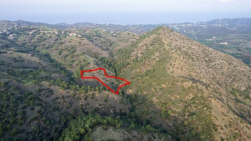 Shared agricultural field in Pigenia, Nicosia