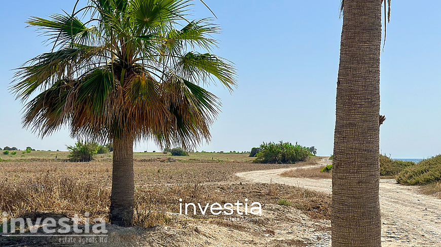 Land for sale/Mazotos