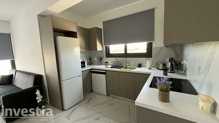 1 bdrm apt/Dhekelia rd