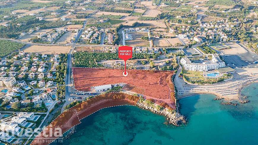 FIeld - Pegeia, Paphos