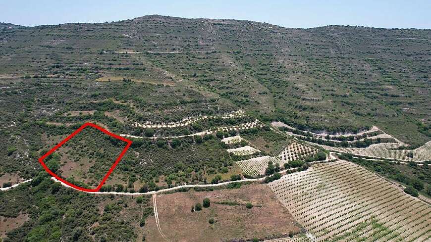 Agricultural field in Pachna, Limassol