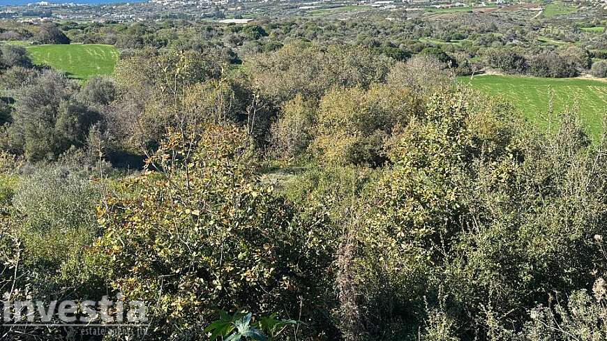 Land for sale/ Pafos - Tremithousa