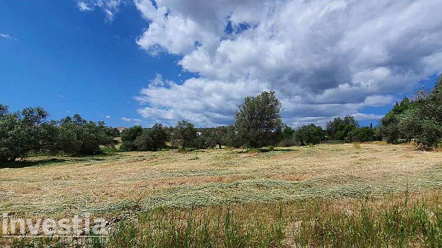 Land for sale/Alethrico