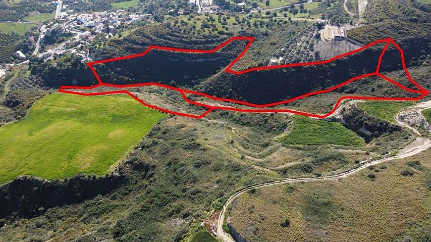 Four shared fields in Goudi, Paphos