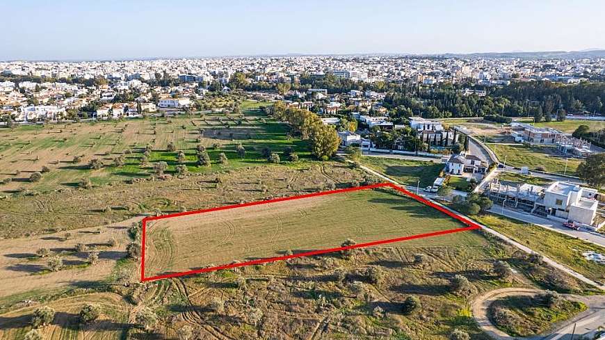 Shared field in Chryseleousa, Strovolos