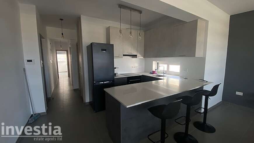 2 plus 1 bdrm apartment/Dhrosia