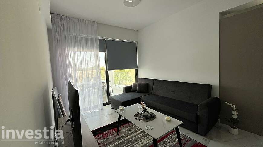 1 bdrm apt/Dhekelia rd