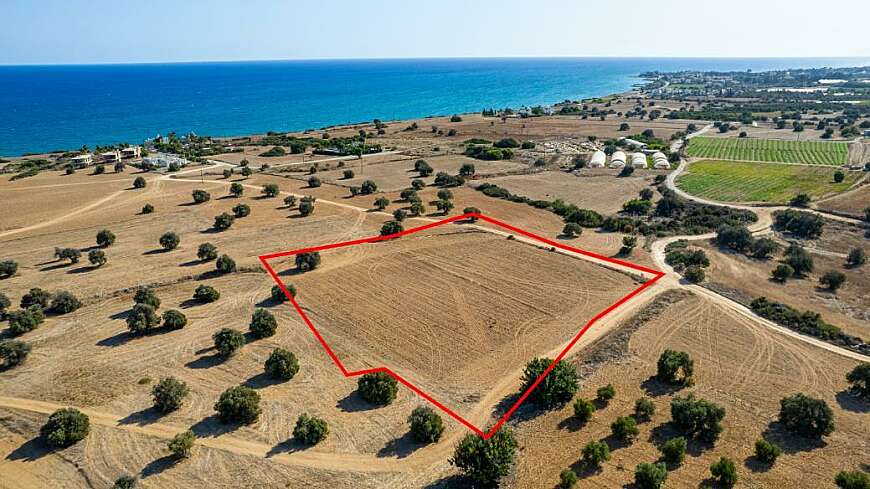 Tourist field in Agios Theodoros, Larnaca