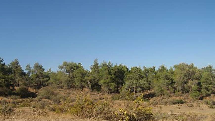 Large plot of land right in the centre of Cyprus