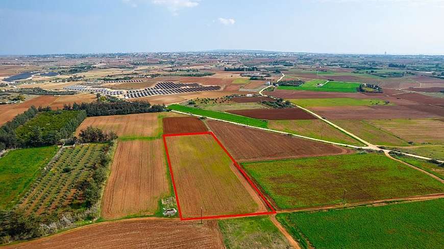 Field in Frenaros, Famagusta