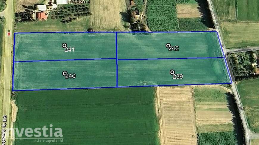Four Agricultural Fields  at SOFTADES / LARNACA