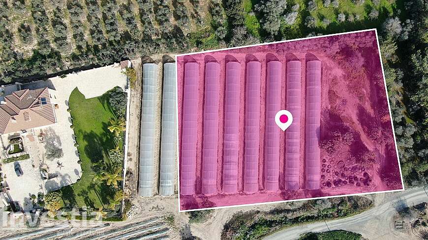 Land for sale/Agios Theodoros