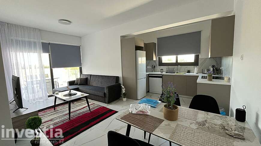 1 bdrm apt/Dhekelia rd