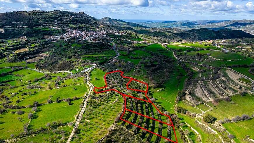 Residential fields in Dora, Limassol