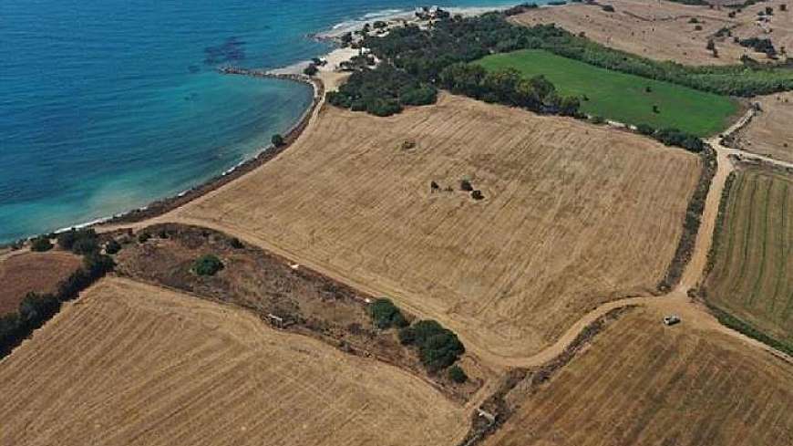 Beachfront fields - Mazotos, Larnaca