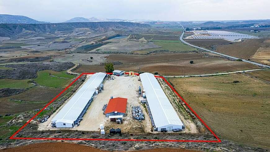 Field with a poultry farm in Agios Ioannis Malountas, Nicosia