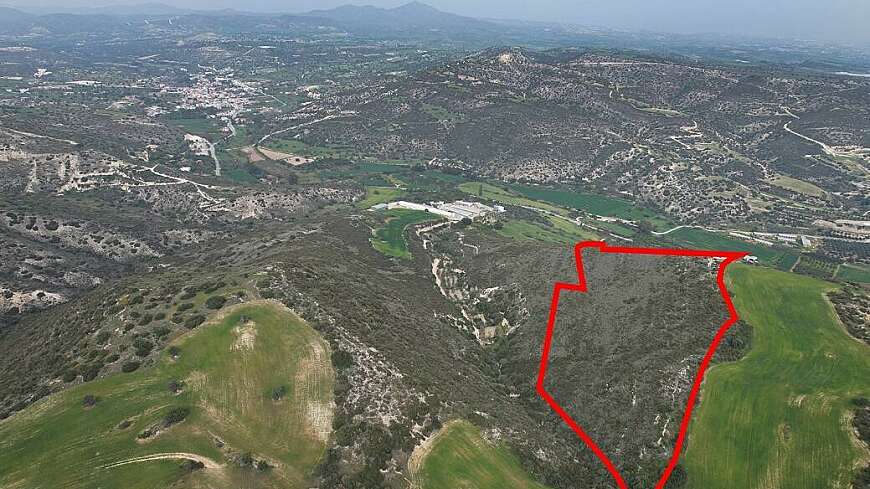 Field in Agios Theodoros, Larnaca