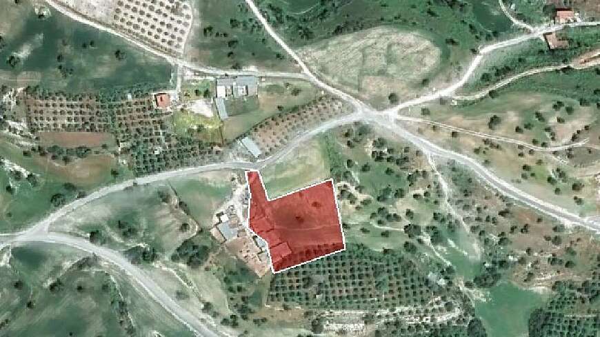 Land for sale/Agios Theodoros