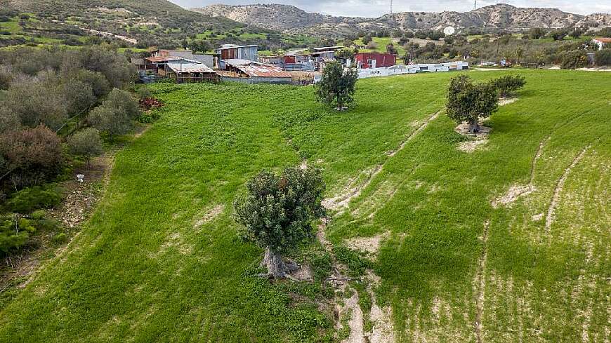 Land for sale/Agios Theodoros