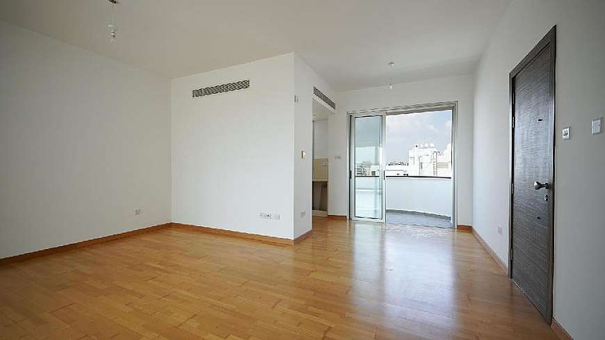 1 bdrm apt/Phinikoudes